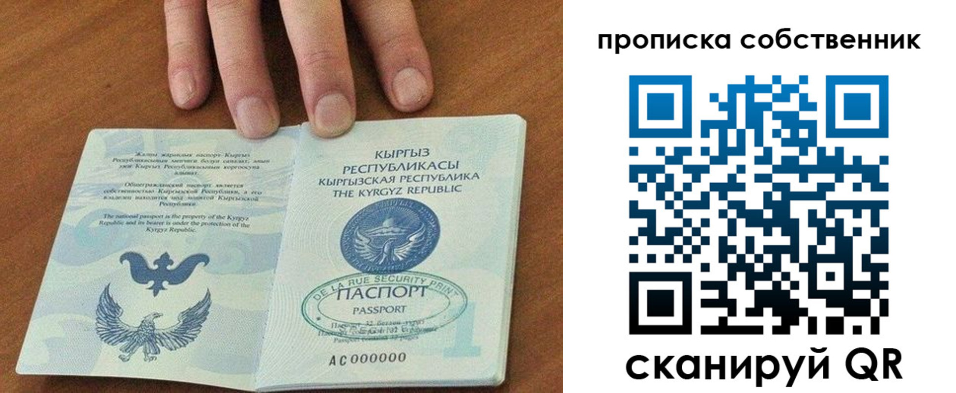 временная регистрация надежно в Заринске